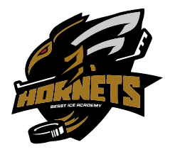 team Hornets pre mladých hokejistov
